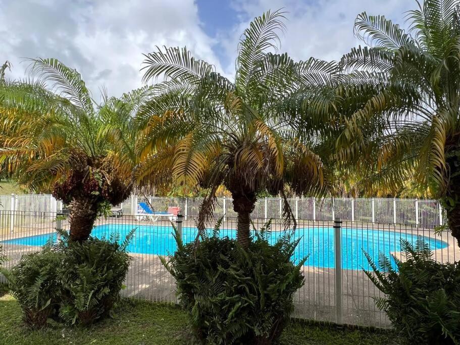 Kanoa Lodge Piscine Et Vue Mer Saint Claude Bagian luar foto