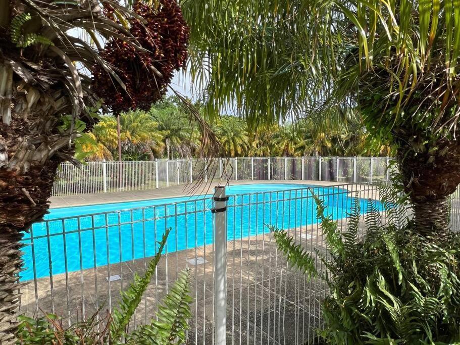 Kanoa Lodge Piscine Et Vue Mer Saint Claude Bagian luar foto